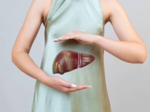 Mulher segurando modelo anatômico de fígado humano.